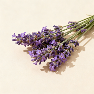 Lavender Essential Oil
